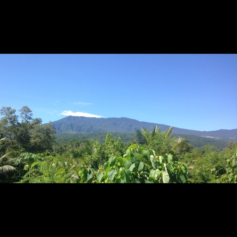 Meet your Posher, Alviegrace